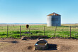 Rural landscape: drinker for animals, silo and lonely cow in a field