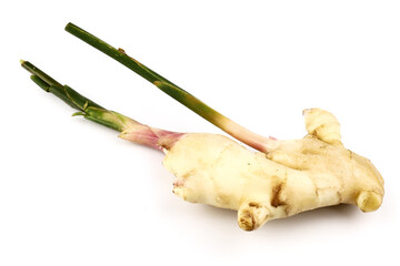 Fresh ginger root or rhizome isolated on white background, Ingredients of herbs for healing and healthy food or Natural therapy concept	