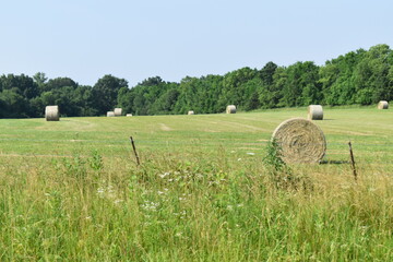 Canvas Print - Hay Bales in a Field