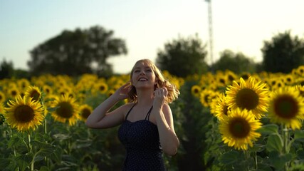 Poster - A beautiful view of a girl posing next to sunflowers growing in the field on a summer day in 4K