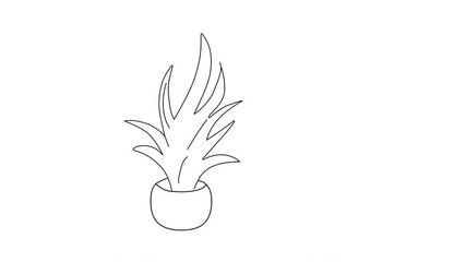 Wall Mural - Self drawing animation of potted plant. Indoor plants, house plants design. White background.