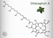 Chlorophyll A, chlorophyll molecule. It is photosynthetic pigment used in oxygenic photosynthesis. Skeletal chemical formula. Sheet of paper in a cage
