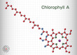 Chlorophyll A, chlorophyll molecule. It is photosynthetic pigment used in oxygenic photosynthesis. Sheet of paper in a cage