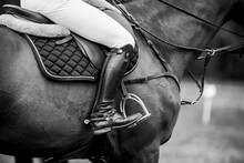 Horse Jumping, Equestrian Sports, Show Jumping Themed Photo.
