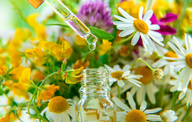 Tincture of herbal extract in a pipette drop. Selective focus.