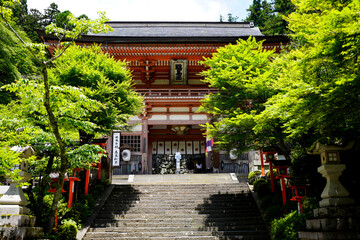 Canvas Print - Kurama-yama in Kyoto.