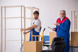 © Elnur - Two male professional movers doing home relocation