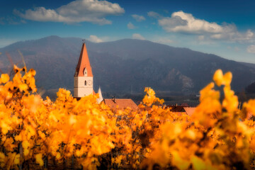 Wall Mural - Church in Weissenkirchen. Wachau valley. Lower Austria. Autumn colored leaves and vineyards.