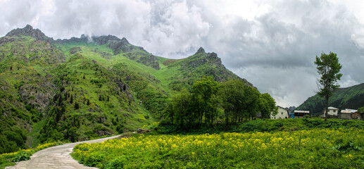 Canvas Print - Mountain road and storm clouds over alpine meadows	