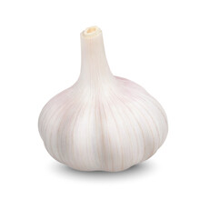 Realistic Garlic. Head Of Dried Garlic Isolated On White Background. Vector 3D Illustration.