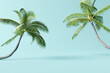 Tropical palm tree on pastel blue background. 3d rendering