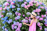 Child girl in hydrangea flowers in garden. Big pink, blue, lilac bushes blooming in spring and summer.