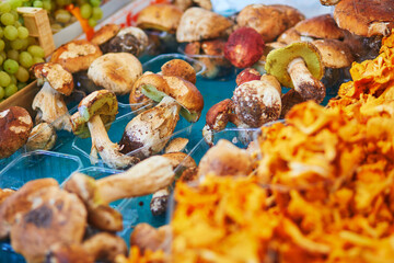 Wall Mural - Fresh organic girolle and boletus mushrooms on farmer market in Paris, France