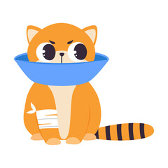 Wall Mural - Sick Kitten Wearing Pet Cone Collar Sitting with Splinting Paw, Cute Pet Baby Animal Cartoon Vector Illustration