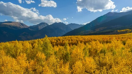 Wall Mural - Sunset Golden Valley - A time-lapse video of Autumn sunset view of a dense colorful aspen grove in a mountain valley at base of steep peaks of Sawatch Range. Leadville, Colorado, USA.