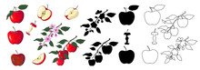 Big Set Of Red Apples In Cartoon Style, Black Silhouette And Outline Style. The Flowering Branch Of An Apple Tree, A Branch Of Apples, Apple Pieces, A Rotten Apple And An Apple Core Are Drawn. Vector