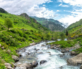 Canvas Print - Spring mountain valley and rapid river	