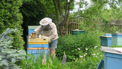 agriculture, altogether, apiarian, apiarist, apiary, apiculture, background, bee, bee-keeping, beehive, beehives, beekeeper, beekeeping, bees, cell, colony, crate, family, farm, farmer, fly, frame, ga