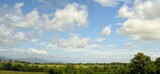 Fototapeta Sawanna - field and blue sky