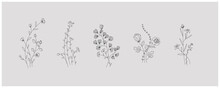 Minimal Botanical Graphic Sketch Line Art Drawing, Trendy Tiny Tattoo Design, Floral Elements Vector Illustration
