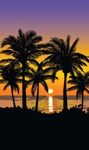 Silhouettes Of Palm Trees. Sunset On A Tropical Island
