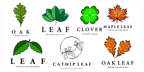 Wall Mural - set of various leaf logo vector illustration template icon design. bundle collection clover oak mapl