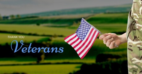 Poster - Composition of veterans day text and soldier holding american flag over valley