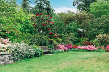 Beautiful Garden with blooming trees during spring time