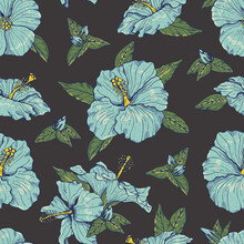 Vintage Seamless Pattern With Line Art Blue Hibiscus Flowers, Buds And Leaves, With Blue Outline. On Dark Background. Stock Vector Illustration.