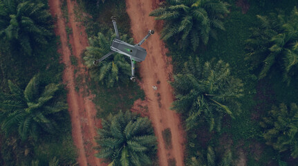 3D Animation. Technician farmer use wifi laptop control agriculture drone fly to sprayed fertilizer on the palm fields