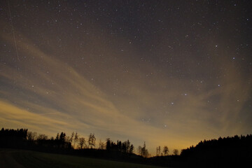 Wall Mural - Mesmerizing glittering starry sky seen through a field - perfect for wallpapers