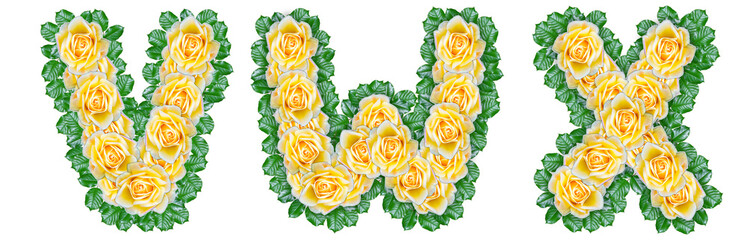 Wall Mural - The letters V, W, X are made of yellow roses with green leaves on a white background