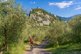Fototapeta Natura - nice and active senior woman riding her electric mountain bike in the Garda lake mountains between blooming the olive groves of Arco close to Riva del Garda and Garda Lake , Landscape