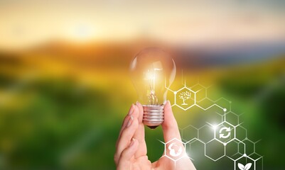 Wall Mural - light bulbs glow, in the concept of energy in nature.