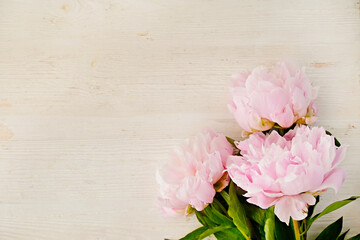  Studio shot of beautiful peony flowers over textured background with a lot of copy space for text. Feminine floral composition. Close up, top view, backdrop, flat lay