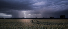 Lightning Strike During A Summer Thunderstorm Near Rastatt Plittersdorf