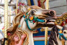 Close Up Of Majestic Horse Carousel Ride
