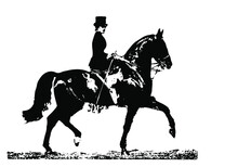 Isolated On A Light Background Is A Graphic Monochrome Vintage Image Of A Lady, A Young Woman In A Female Saddle Riding A Black Horse
