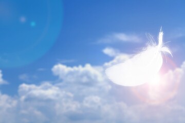 Wall Mural - Soft and Light Fluffy White Feather Floating in The Blue Sky with Clouds.