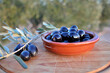 © Julio - bowl with black olives and olive branch with olive field in the background