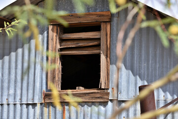 Poster - An old wooden window in a metal shed.