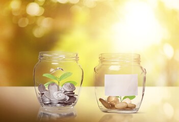 Poster - Plants are growing in jars with coins concept on a desk to save money concept.