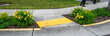 © knelson20 - Bright yellow sidewalk guides on a corner crossing, with yellow daylilies planted on either side of the entrance