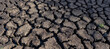 Earth cracked because of drought. The global shortage of water on the planet. Global warming concept.