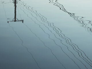 Poster - water reflection of street electric pole with wire cable in the canal