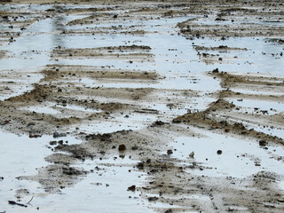 Canvas Print - wet dirt ground with water drops of rain