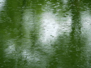 Canvas Print - rain drop falling on water surface