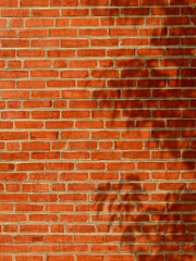 Canvas Print - old brick wall with shadow of the leaves