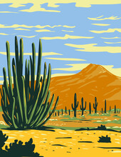 WPA Poster Art Of Stenocereus Thurberi Growing In Organ Pipe Cactus National Monument Located In Arizona, United States And The Mexican State Of Sonora Done In Works Project Administration Style.