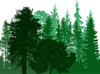 Poster - dark and light green dense forest on white